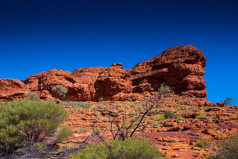 7-Day Guided Tour Of Alice Springs With Accommodation Included - Australia Accommodation 4