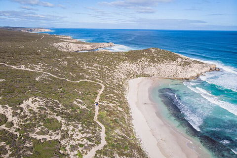 Small-Group Buggy Tour At Little Sahara With Guide - Australia Accommodation 4