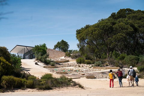 2-Hour Koala Walking Tour In Kangaroo Island - Australia Accommodation 3
