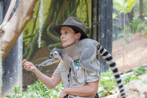 Currumbin Wildlife Sanctuary General Entry Ticket - Australia Accommodation 1