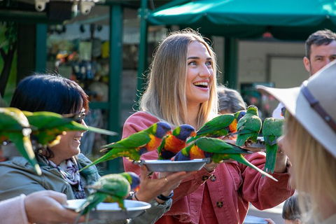 Currumbin Wildlife Sanctuary General Entry Ticket - Australia Accommodation 3
