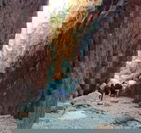 West MacDonnell Private Tour with Transfer - Australia Accommodation