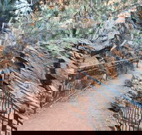 West MacDonnell Ranges Half - Day Tour - Australia Accommodation