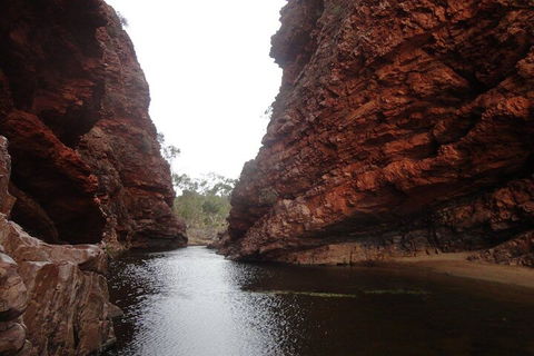 West MacDonnell Ranges Half - Day Tour - Australia Accommodation 4