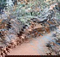 West MacDonnell Ranges Half-Day Private Charter Guided Tour - Australia Accommodation