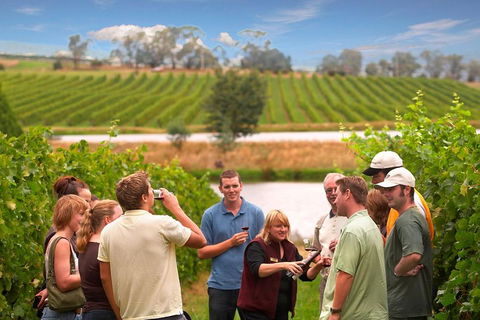 Yarra Valley Wine And Winery Tour From Melbourne - Australia Accommodation 0