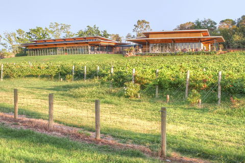 Yarra Valley Wine And Winery Tour From Melbourne - Australia Accommodation 1