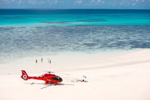 Private Helicopter Tour: Reef Island Snorkeling And Gourmet Picnic Lunch - Australia Accommodation 2