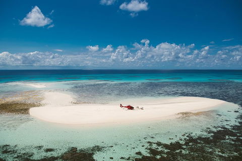 Private Helicopter Tour: Reef Island Snorkeling And Gourmet Picnic Lunch - Australia Accommodation 4
