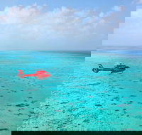 Port Douglas Scenic Flights - Australia Accommodation