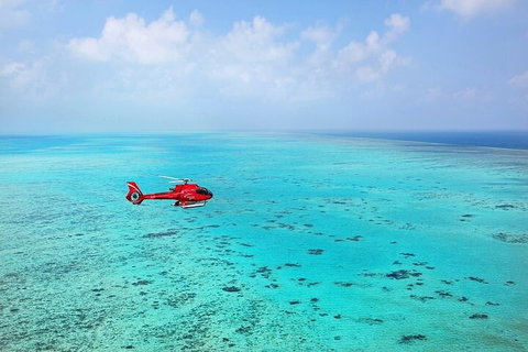 Great Barrier Reef 30-Minute Scenic Helicopter Tour From Cairns - Australia Accommodation 2