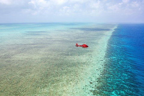 Great Barrier Reef 30-Minute Scenic Helicopter Tour From Cairns - Australia Accommodation 5