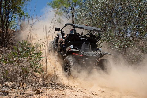 License To Thrill: 1.5 Hour Off-road Tour In Darwin (1 Person: 2 Seater Vehicle) - Australia Accommodation 3