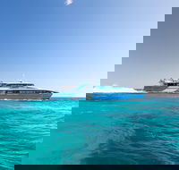 Rottnest Island Bike Snorkel  Ferry Package from Fremantle - Australia Accommodation