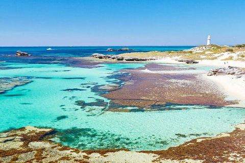 Rottnest Island Bayseeker Day Trip From Perth - Australia Accommodation 4