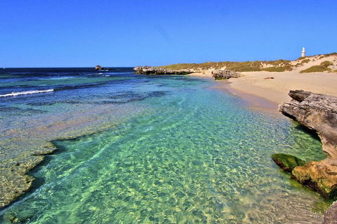 Rottnest Island Bayseeker Day Trip From Perth - Australia Accommodation 5