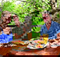 Breakfast with the Koalas at Hartley's Crocodile Park from Cairns or Palm Cove - Australia Accommodation