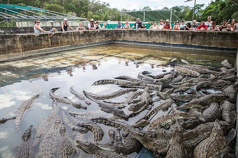 Hartley's Crocodile Adventures Day Trip From Palm Cove - Australia Accommodation 0