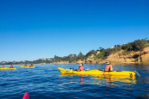 Mornington Peninsula Kayak Coastline Tour Of Dolphin Sanctuary - Australia Accommodation 1