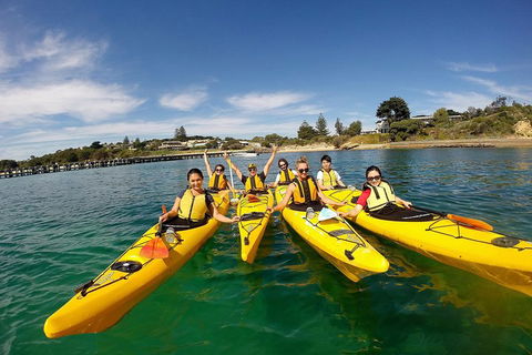 Mornington Peninsula Kayak Coastline Tour Of Dolphin Sanctuary - Australia Accommodation 2