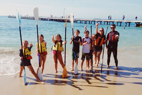 Mornington Peninsula Kayak Coastline Tour Of Dolphin Sanctuary - Australia Accommodation 3