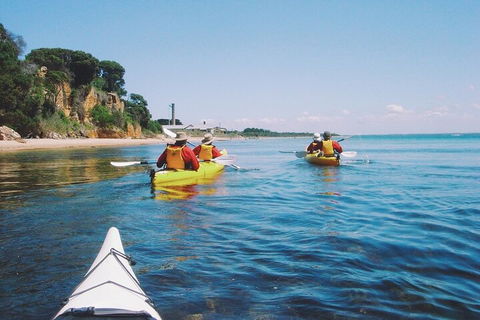 Mornington Peninsula Kayak Coastline Tour Of Dolphin Sanctuary - Australia Accommodation 5