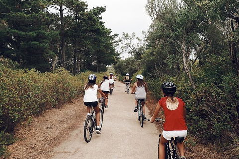 Self-Guided Point Nepean National Park Bike Hire - Australia Accommodation 3