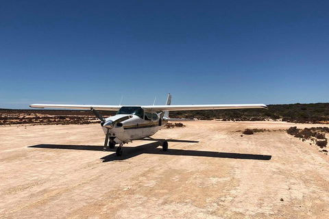 Kalbarri Gorges & West Coast - Ground & Air Tour - Australia Accommodation 4