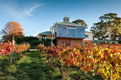 Adelaide Hills Food, Wine, Cheese, & Chocolate - Private Day Tour - Australia Accommodation 3