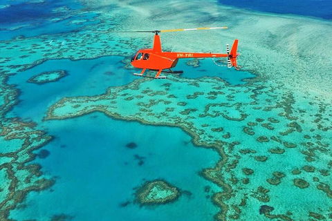 Reef & Whitehaven Landing - Australia Accommodation 4