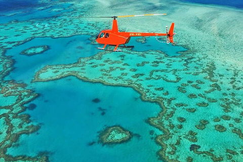 Whitehaven Heli Tour - Australia Accommodation 3