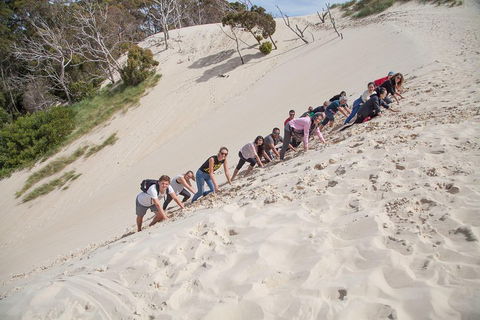6-Day Tasmanian Explorer Adventure Tour From Hobart - Australia Accommodation 2