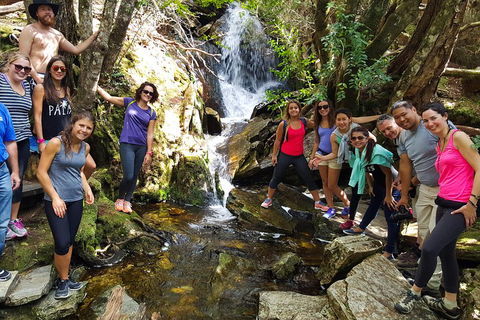 7-Day Super Value Tour Of Tasmania: Explore Tasmania's West And East Coasts - Australia Accommodation 2