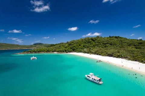 Whitehaven Beach And Hill Inlet | Awesome Beach BBQ | Family Friendly - Australia Accommodation 3