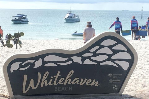 Whitehaven Beach And Hill Inlet | Awesome Beach BBQ | Family Friendly - Australia Accommodation 5