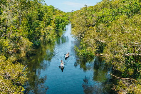 Cruise 'n' Canoe To Australia's Everglades - Australia Accommodation 3