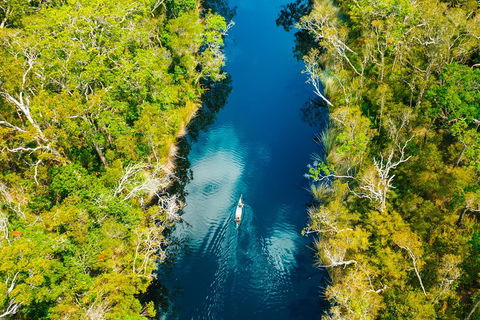 Cruise 'n' Canoe To Australia's Everglades - Australia Accommodation 4