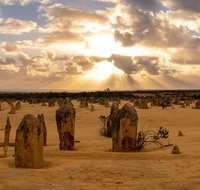 Half Day Pinnacles Sunset Tour - Australia Accommodation
