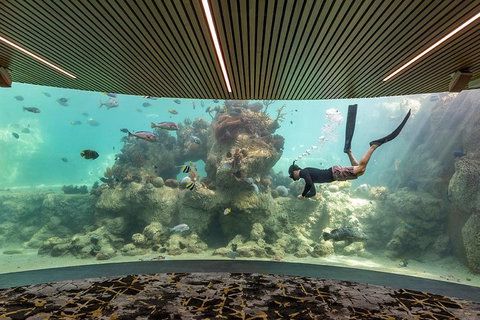 Whitehaven Beach And Daydream Island Cruise - Australia Accommodation 4