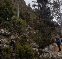 kunanyi / Mt. Wellington Guided Hiking Tour - Australia Accommodation