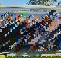Full Day Mount Tamborine Winery Tour from Gold Coast - Australia Accommodation