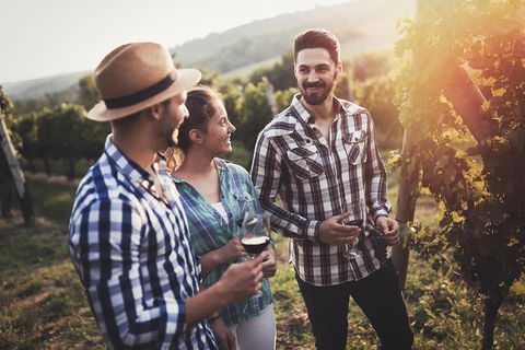 Full Day Mount Tamborine Winery Tour From Gold Coast - Australia Accommodation 5