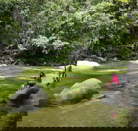 Daintree Dreaming Traditional Aboriginal Fishing from Cairns or Port Douglas - Australia Accommodation