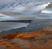Kangaroo Island Luxury Small Group 'Flinders Chase Focus' Full Day Tour - Australia Accommodation