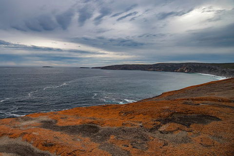 Kangaroo Island Luxury Small Group 'Flinders Chase Focus' Full Day Tour - Australia Accommodation 0