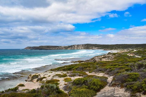 Kangaroo Island Luxury Small Group 'East End Explorer' Full Day Tour - Australia Accommodation 0