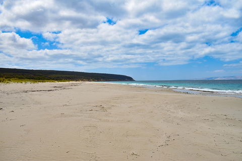 Kangaroo Island Luxury Small Group 'East End Explorer' Full Day Tour - Australia Accommodation 3
