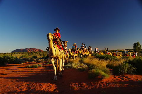 Uluru Small-Group Tour By Camel At Sunrise Or Sunset - Australia Accommodation 1