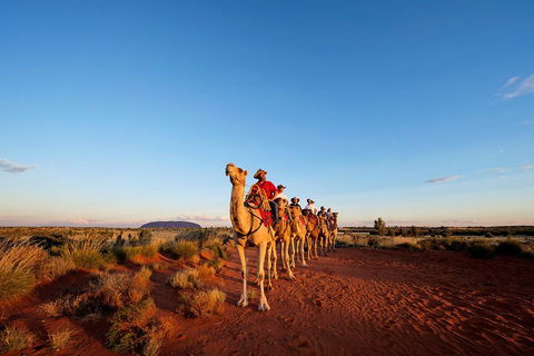 Uluru Small-Group Tour By Camel At Sunrise Or Sunset - Australia Accommodation 3