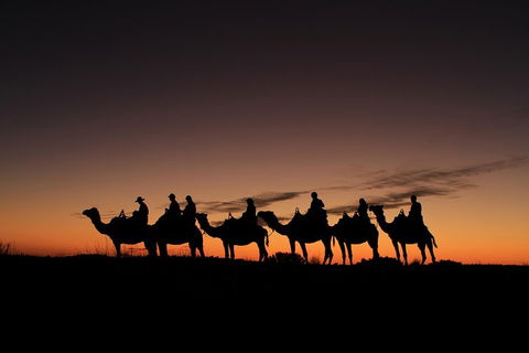 Uluru Small-Group Tour By Camel At Sunrise Or Sunset - Australia Accommodation 4